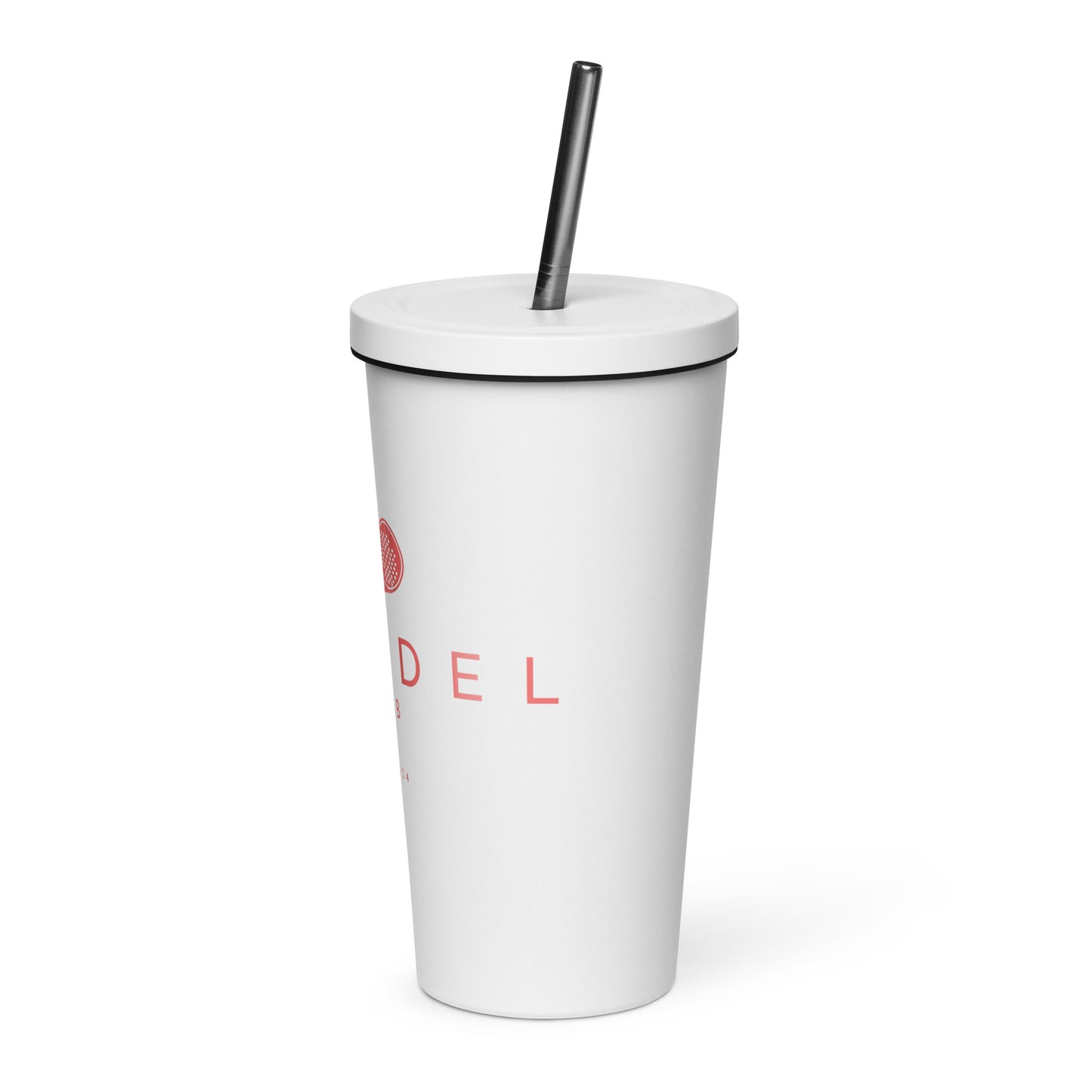 Insulated tumbler with a straw